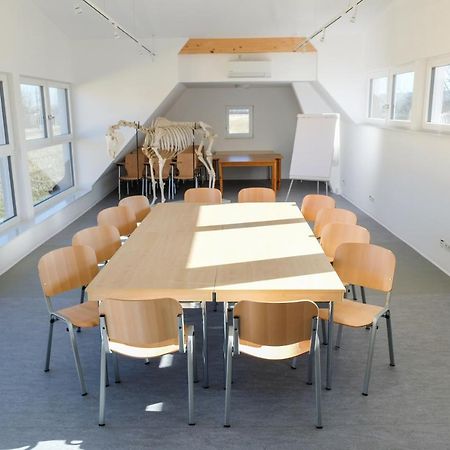 Equiliber Reitkunstzentrum Burgenland Wulkaprodersdorf Luaran gambar