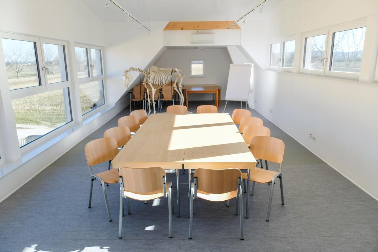 Equiliber Reitkunstzentrum Burgenland Wulkaprodersdorf Luaran gambar